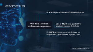 Excelia Informe Digital Pulse 2025