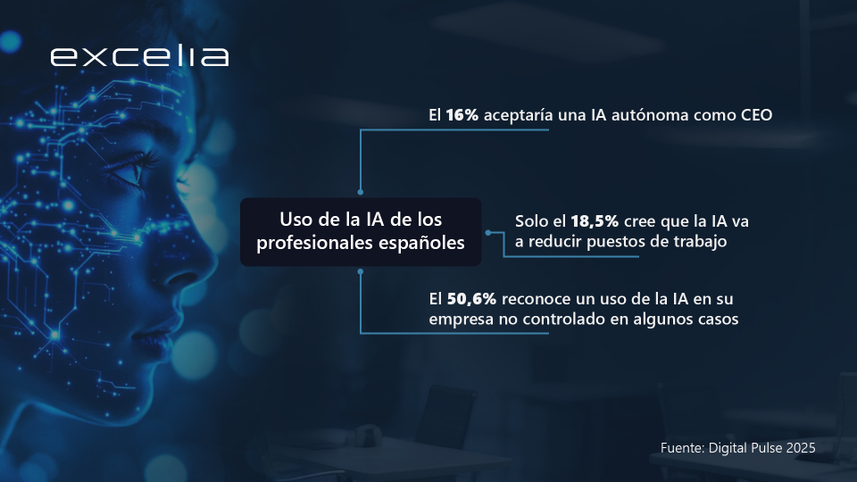 Excelia Informe Digital Pulse 2025